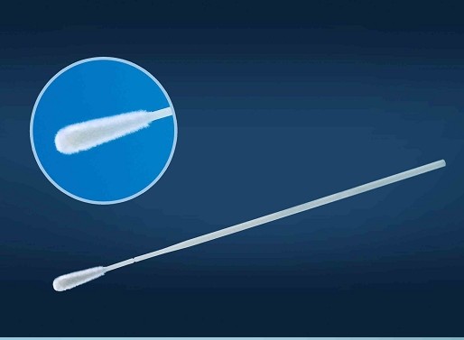 Cleanmo frosted tail of swab handle bacteria swabs supplier for molecular-based assays-6