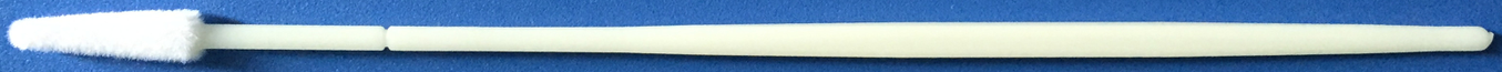 Cleanmo frosted tail of swab handle bacteria swabs supplier for molecular-based assays-15