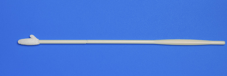 Cleanmo frosted tail of swab handle flocked nylon swab wholesale for molecular-based assays-9